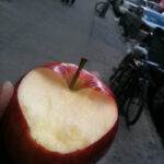 ny2 appleheart