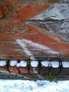 H2O HoL brick wall base, fern & snow