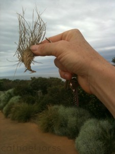 H2O HoL fist with keys & grass