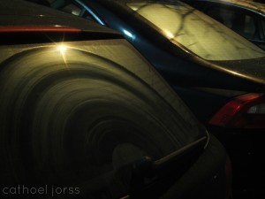 H2O HoL leafy smear windscreens