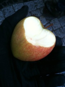 H2O HoL winterbound apfelherz