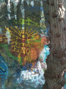 H2O HoL delicious graffiti tree