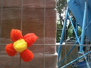 H2O HoL orange flower on construction fence