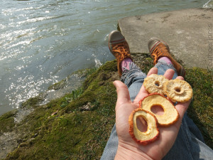 H2O HoL dried apple bone