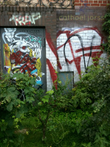 H2O HoL grafitti hedge