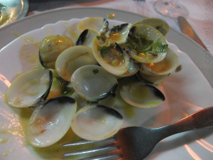 H2O HoL lisbon pipis