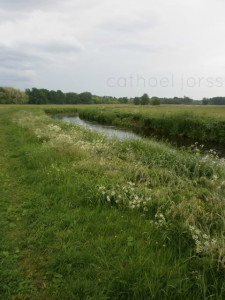 H2O HoL stream indonesien